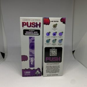 PUSH 1G Disposable Vape for Sale