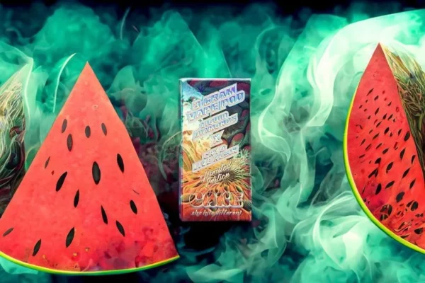 Watermelon Wave 3G cake disposable