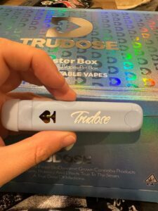 Buy TRUDOSE 2g Disposable Vape