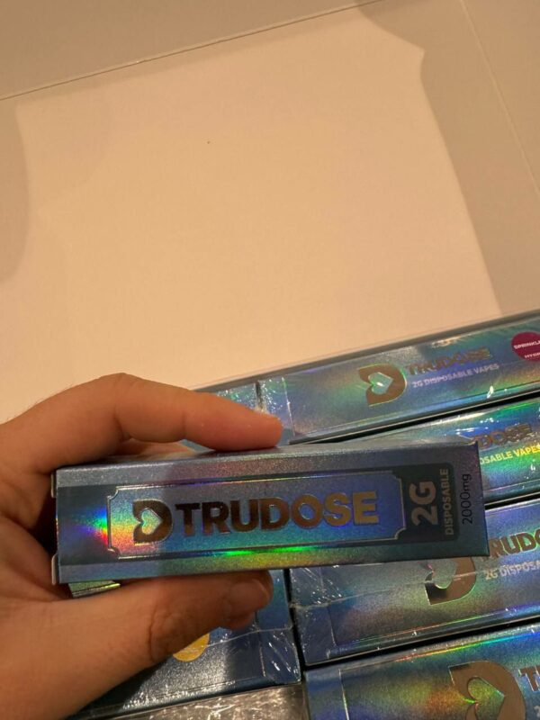 Trudose 2g Disposable Vape